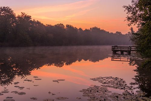 Vijver in mist in Slochteren