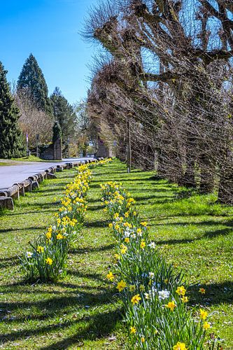 Baden-Württemberg: Perspectieven op de kasteeltuin van Lauphein