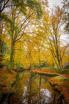 Traumwald in Wassenaar