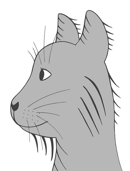 Graue Katze von Wandersti
