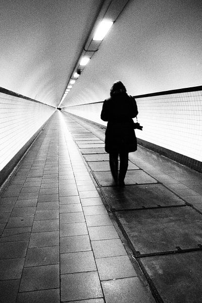 Endless by walter haenen