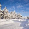 Sneeuw in Fins Lapland van Maria-Maaike Dijkstra