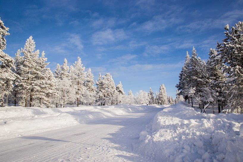 Snow in Finnish Lapland by Maria-Maaike Dijkstra