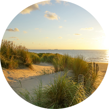 Strand, zee en zon van Dirk van Egmond