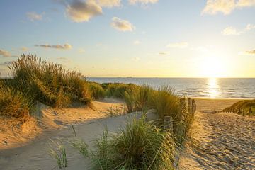 Beach, sea and sun by Dirk van Egmond