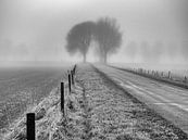 Foggy railroad crossing by Ron van Ewijk thumbnail