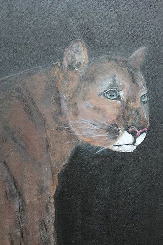 Puma, painted on a black background