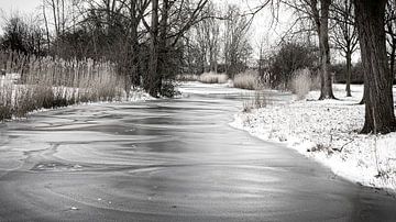 Frost im Teich