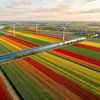 Kleurrijke tulpenvelden vanuit de lucht van But First Framing