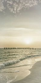 Gasparilla Island Sunset | Vintage Panorama by Melanie Viola