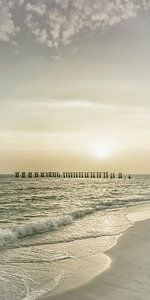 Gasparilla Island Sonnenuntergang | Vintage Panorama