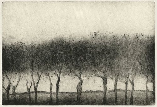 Allée 2, Gravure