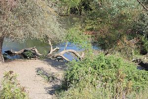 Kerkini See - Tümpel hinter dem Staudamm