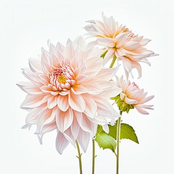 Summer Dahlias by Vlindertuin Art