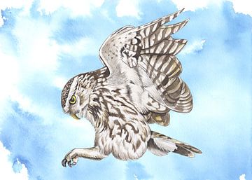Stone Owl by Jasper de Ruiter