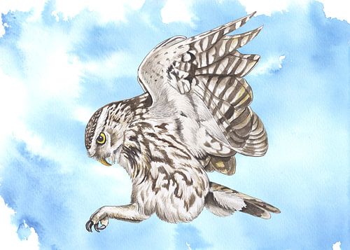 Stone Owl