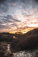 Zonsopkomst over de duinen