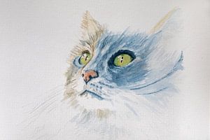 Katze in Aquarell