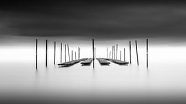 Abgegrenzt - Austern im Meer von Niels Devisscher