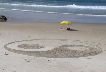 Yin & Yang von Matthias Brix