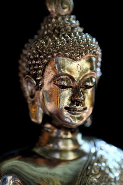 Meditation Buddha  by Jolanta Mayerberg