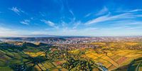 Luchtfoto panorama wijngaarden in Stuttgart van Werner Dieterich thumbnail