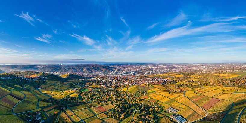 Luchtfoto panorama wijngaarden in Stuttgart van Werner Dieterich
