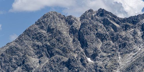 In the Rocky Realm of the Great Wild One by Walter G. Allgöwer