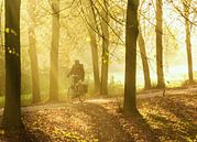 Laantje met fietser en zonnestralen von Anneriek de Jong Miniaturansicht