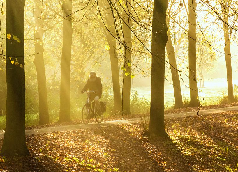 Laantje met fietser en zonnestralen von Anneriek de Jong