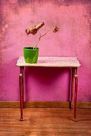 Colorful decay by Carla Broekhuizen
