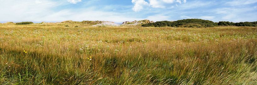 Dunes of Goeree with salt marshes and salt marshes by eric van der eijk