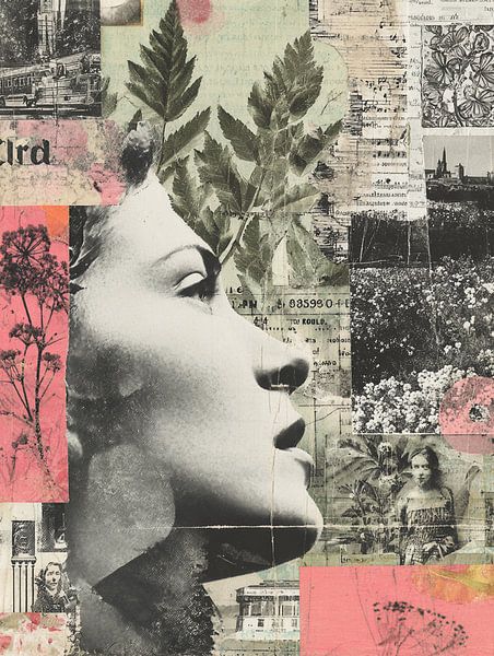 Collage OXV par Stef van Campen