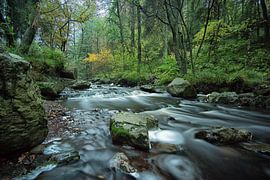 upstream by Jo Beerens