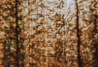 Abstract photography work of art bokeh light trap
