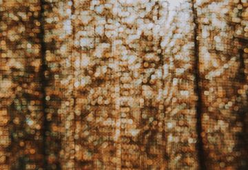 Abstract photography work of art bokeh light trap by Lisanne Koopmans