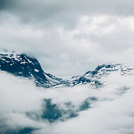 Nature view in Røldal by Lisa Vollebregt