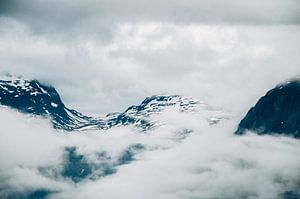 Prachtig uitzicht in Røldal van Lisa Vollebregt