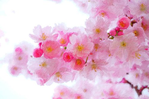 Roze bloesem (schilderij)