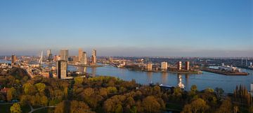 Panorama skyline Rotterdam tijdens gouden uur (zonsondergang)