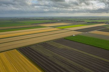 Paysage de polders néerlandais sur Menno Schaefer