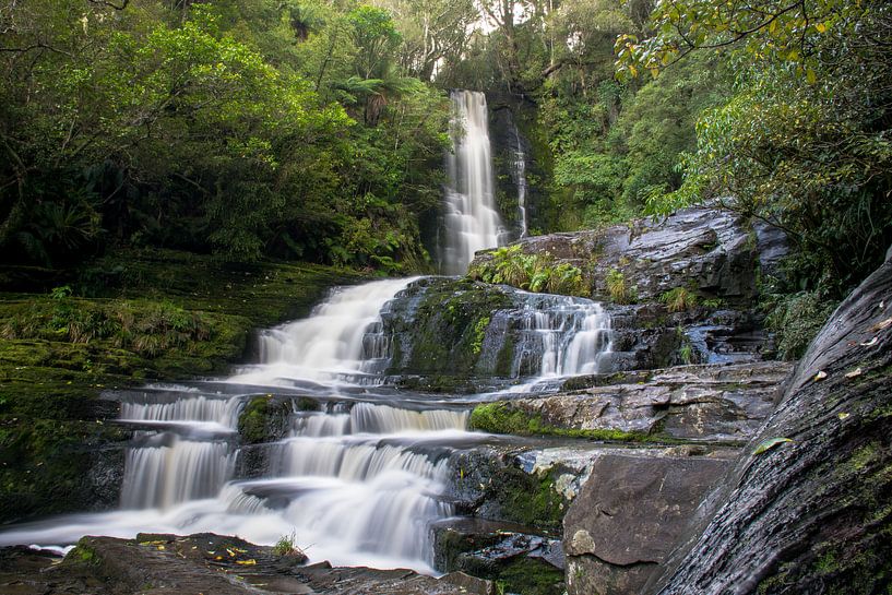 x von Tom in 't Veld