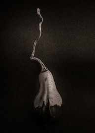 Kürbisse Nr. 16 von The Learning Curve Photography