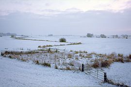 winter in the floodplain by Ralph Jongejan
