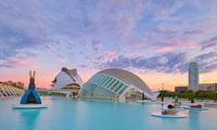 City of Arts and Sciences - Valencia, Spain by Bas Meelker thumbnail