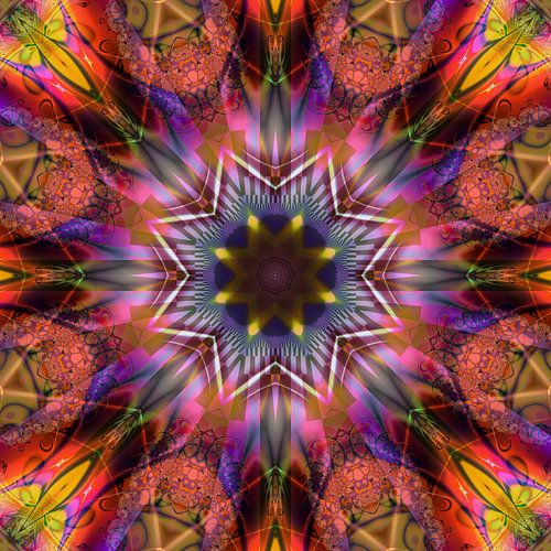 P992 Boho