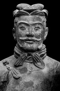Het Terracottaleger van Xian in China
