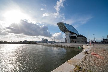 Havenhuis van Antwerpen van Marcel Derweduwen