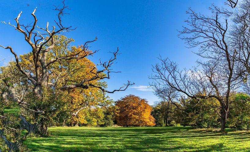 Schlosspark Putbus im Herbst von GH Foto & Artdesign