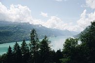 Uitzicht over het blauwe water van de Brienzersee in Berner Oberland, Zwitserland van Evelien Lodewijks thumbnail